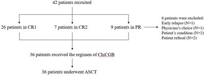 A novel conditioning regimen of chidamide, cladribine, gemcitabine, and busulfan in the autologous stem cell transplantation of aggressive T-cell lymphoma